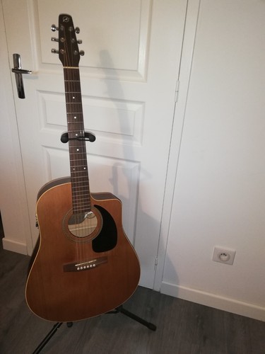 Guitare folk seagull - folk,