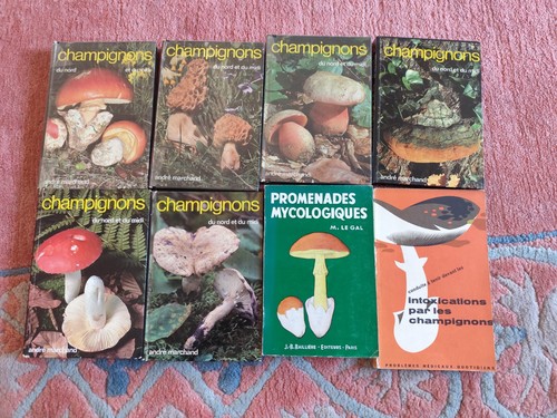 André marchand champignons - marchand, du