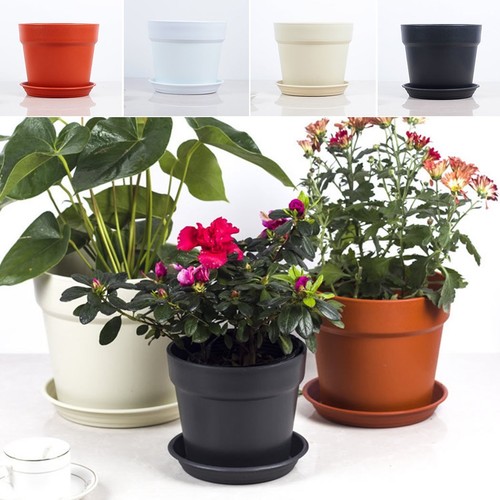Pot plantes élégant - pot,