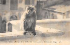 CPA ALGERIE BLIDA UN