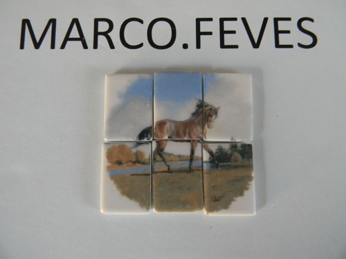 Serie complete puzzle cheval - serie,