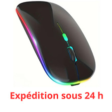 Souris Sans Fil Lumineuse Rechargeable Bluetooth 5.1 + 2.4G Mince Silencieuse.