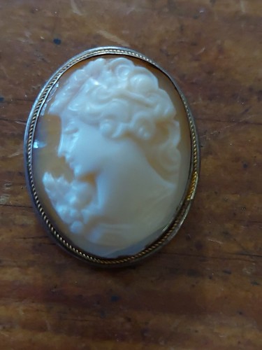 Broche camée coquillage - broche,