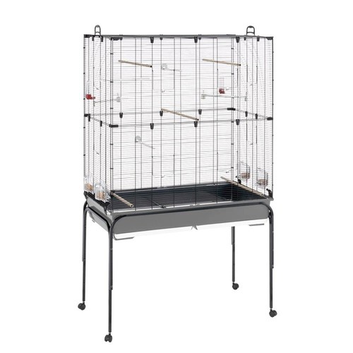 Volière cage oiseaux - à,