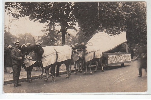 Bayonne carte photo - bayonne, (fête