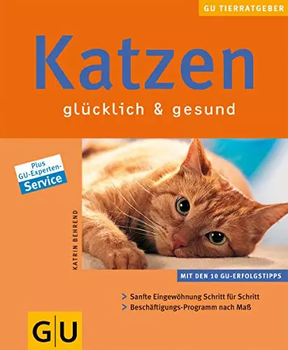 Katzen glücklich und gesund