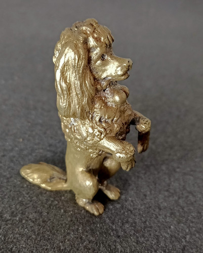 Ancien petit caniche royal - petit, en