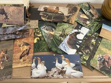 30 Cartes Merveilles du monde Nestlé