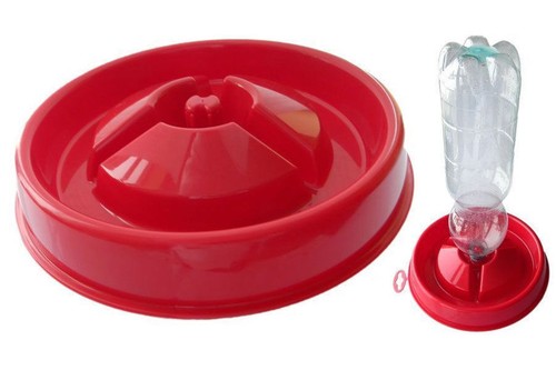 Abreuvoir pour poussins - abreuvoir, et