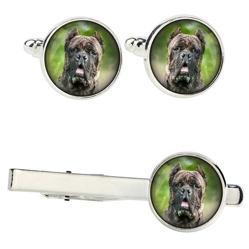 Cane corso set with clamps - set, in