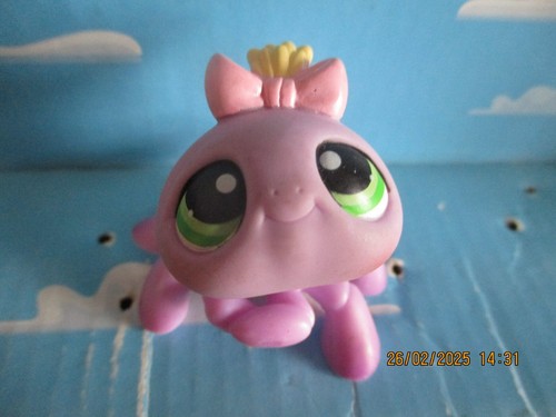 Petshop araignee 136 avec - petshop, /