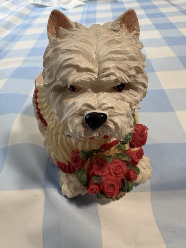 West highland terrier dog - west,