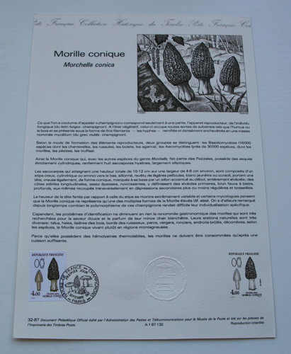 Timbre document officiel 1er - timbre,