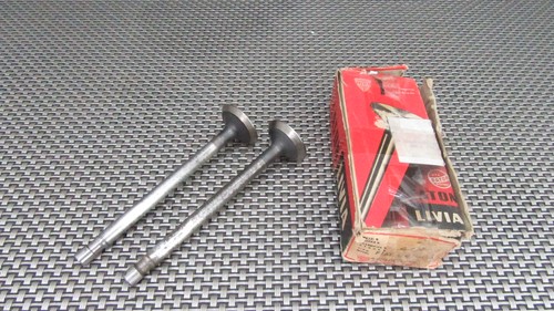 5586 paire soupapes - 01-5586,