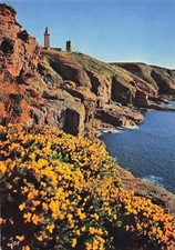 22 CAP FREHEL LES FALAISES ET