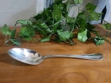 Grande Cuillère de Service à