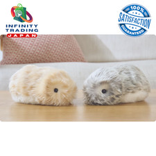 Robot de communication Casio