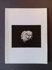 Camille Laurelli, Livre, Art