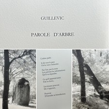 🌓 Guillevic 'Parole