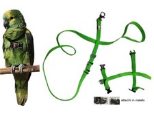 Bavoir Perroquets Élastique