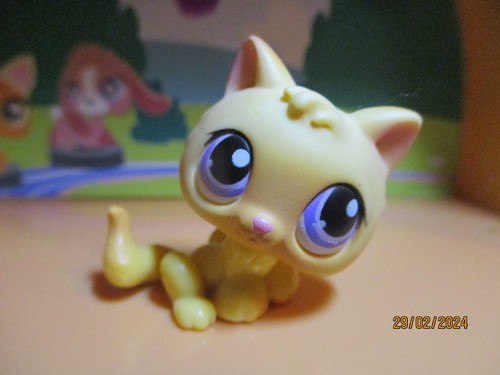 Petshop chaton 248 aimant - petshop,