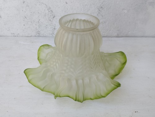 Tulipe verre dépoli - en,
