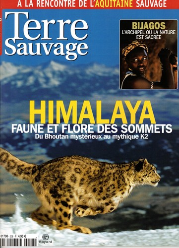 Terre sauvage 208 - terre,