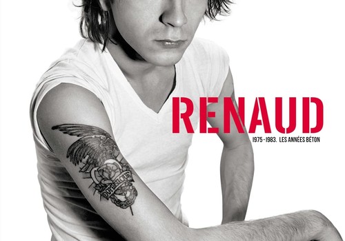 Renaud integrale - renaud,