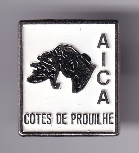 Rare pins pin - pins, pin's