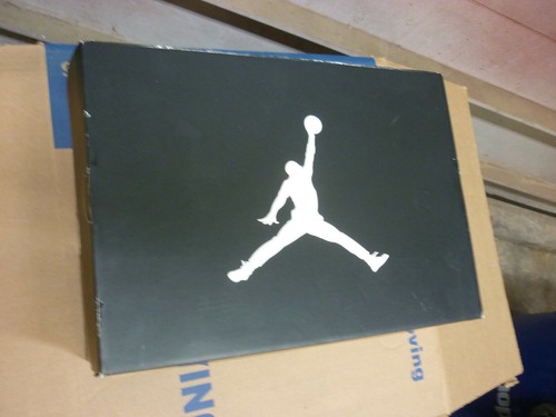 Nike air jordan retro wolf - air,