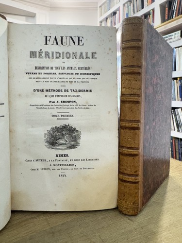 Faune méridionale crespon - méridionale,