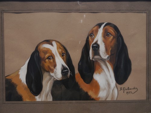 Chiens meute tricolore - meute,
