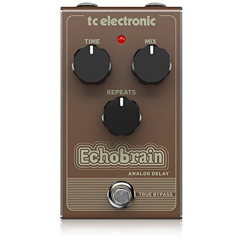 Electronic echobrain analog - electronic,