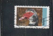L6466 FRANCE  AUTOADHESIF N° 1394 de 2017 " Canard de Barbarie " oblitéré