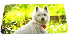 USA West Highland White