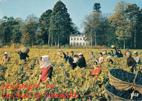 Bourgogne château pommard - bourgogne,
