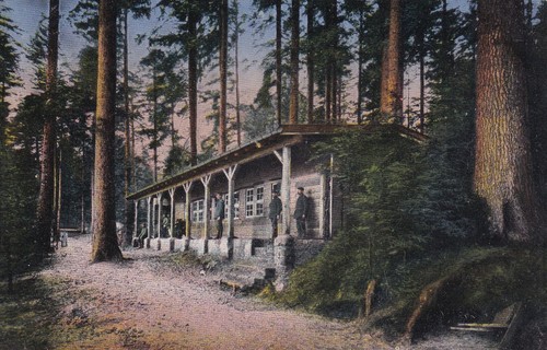 Carte postale postcard guerre - postale,