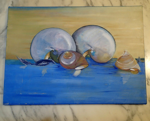 Marine coquillages souvenirs - marine,