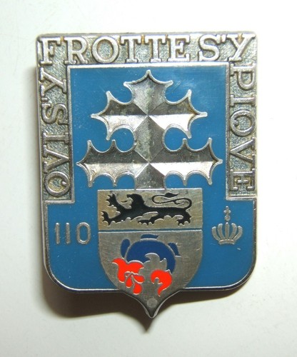 Insigne 110 regiment - 110°,