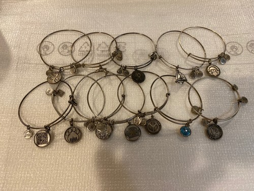 Alex and ani silver tone - alex,