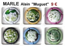 Série de capsules de