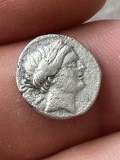 HEMIDRACHME PAMPHYLIA Perge