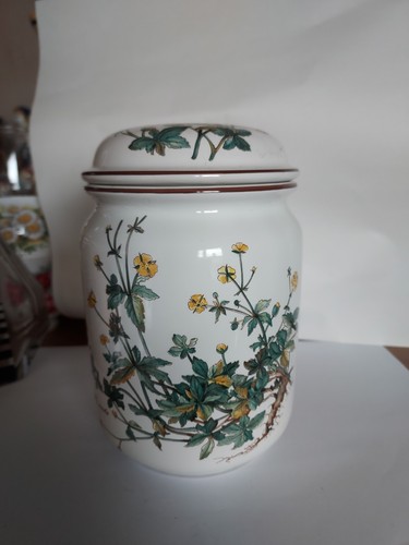 Grand pot couvert villeroy - pot,
