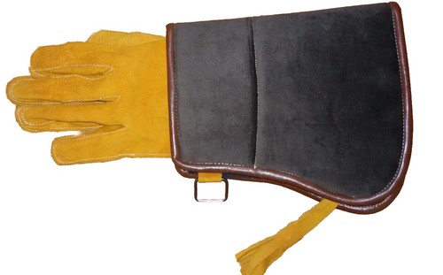 Fauconnerie arabe marron - fauconnerie,