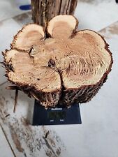  Provence lot B 1 RONDIN Bois De Cyprès 4kg100 tournage,sculpture,coutellerie