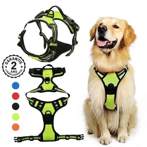 Harnais pour chien chiot - chiot, nylon