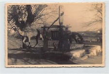 Tunisie - Puit actionné par un chameau - CARTE PHOTO - Ed. inconnu
