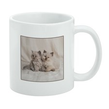 Miradoll Ragdoll Kitten Best