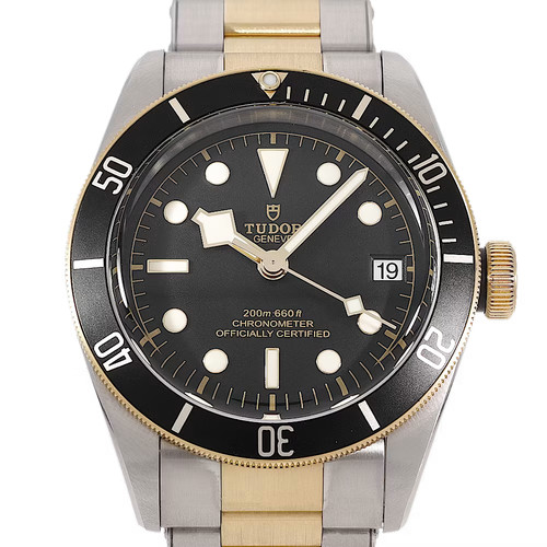 Tudor black bay automatique - tudor,