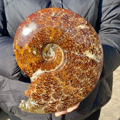 3lb rare natural - 4.3lb, rare!